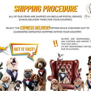 May include: A group of dogs, each wearing formal attire like tuxedos and bow ties, are featured in a promotional image. The text includes "Shipping Procedure" and "Get it Fast!" with a DHL plane graphic. The Bow Paw Tie logo is in the upper right corner.