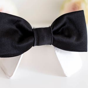 May include: A black satin bow tie, tied and displayed on a white collar.