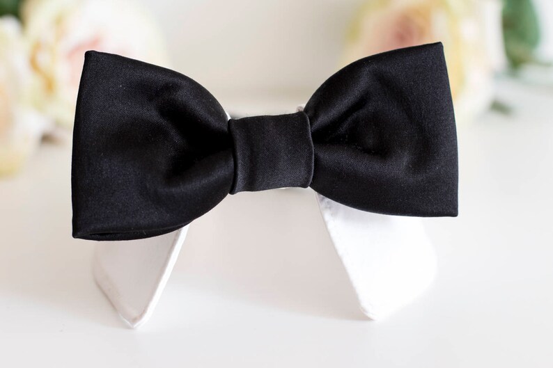 May include: A black satin bow tie, tied and displayed on a white collar.