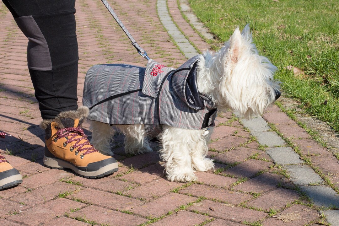Tartan Dog Warm Coat for Small and Large Dogs, Personalized Dog Coat