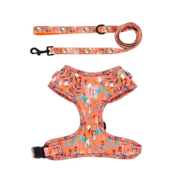 Adjustable Harness bundle set with Leash ideal for Extra Small Puppy to Large Breeds, lead with comfortable handle, design Madagascar