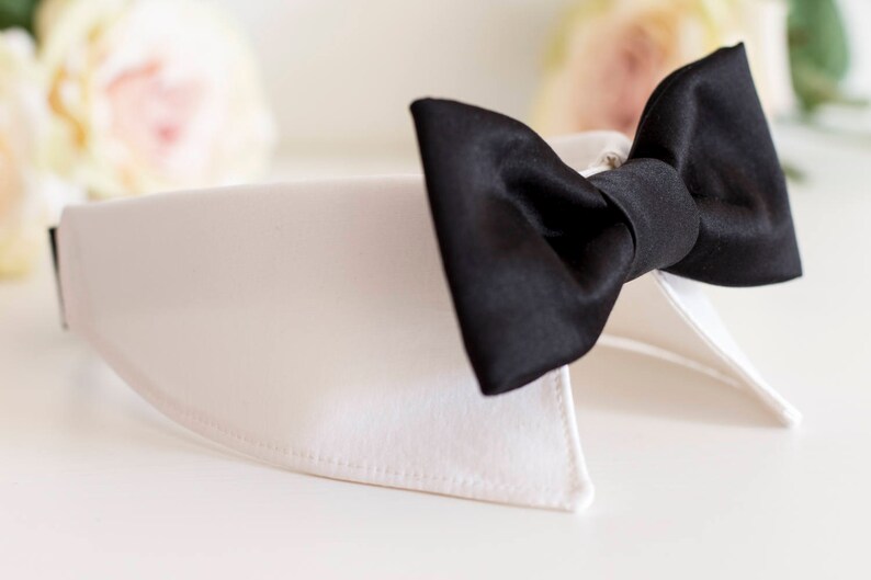 May include: A white pet collar with a black bow tie. The collar is made of a soft, white fabric and has a simple design. The bow tie is made of a smooth, black fabric and is tied in a classic bow shape.