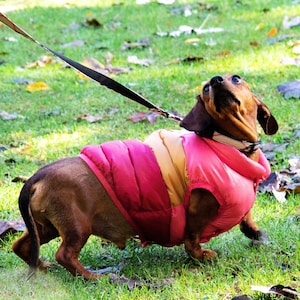 Reversible Pink Dog Puffer Jacket, Warm Waterproof Winter Dog Coat, Lightweight Windproof Pet Vest, Sleeveless Dog Clothes, Harness-Friendly