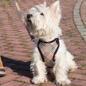 Set tartan dog harness and leash, Set dog harness and lead for Christmas dog gift, Scottish plaid dog harness, soft dog harness