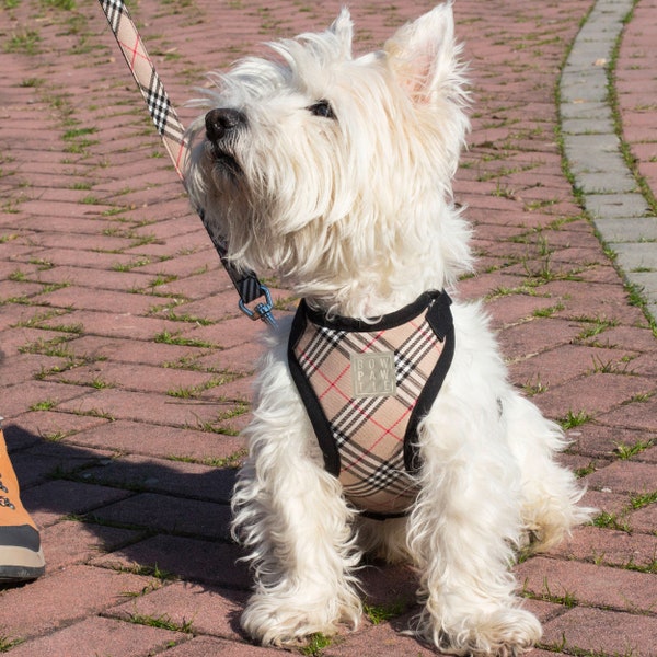 Tartan Dog Harness and Leash Set Etsy