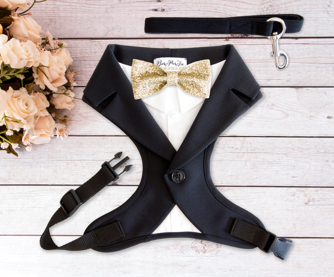 black-dog-harness-with-leash-dog-wedding-dress-and-leash-set-dog