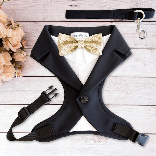 Beige Dog Tuxedo Wedding Harness and Leash Set Dog Formal Etsy