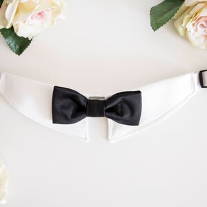 May include: White dog collar with a black bow tie. The collar is made of a soft, white fabric and has a black buckle.