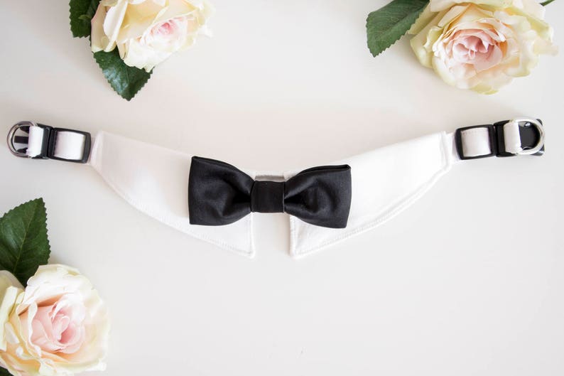 May include: White dog collar with a black bow tie. The collar is made of a soft, white fabric and has a black buckle.