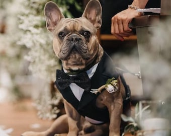 Svart smokingsele för hundbröllop – Anpassad ringbärarkostym XS–3XL