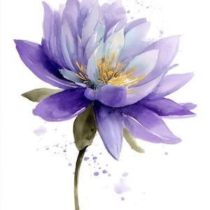 High Quality Blue Lotus Art