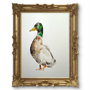 Original MALLARD DUCK Digital Print