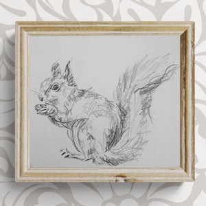 May include: A black and white pencil drawing of a squirrel sitting on its haunches, holding a nut in its paws. The squirrel has a bushy tail and is drawn in a realistic style.