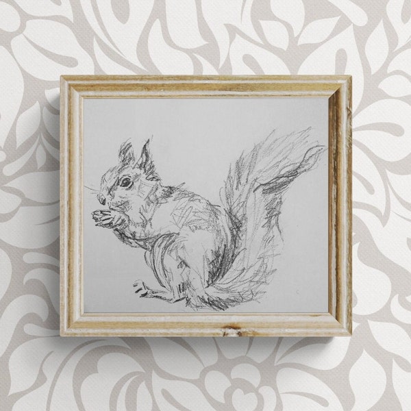 Original Pencil Drawing of Squirrel, Fine Art, Squirrel Print, Minimalist Wall Art, Vintage Wall Art, Nursery Wall Art, Wildlife Wall Art