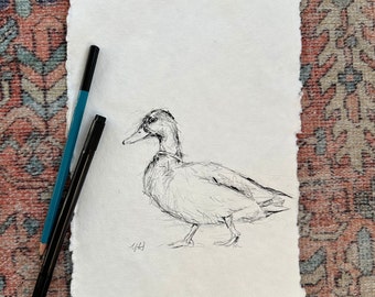 Original Mallard Pencil Drawing, Fine Art, 8x11, Vintage, Minimalist, Wildlife Art