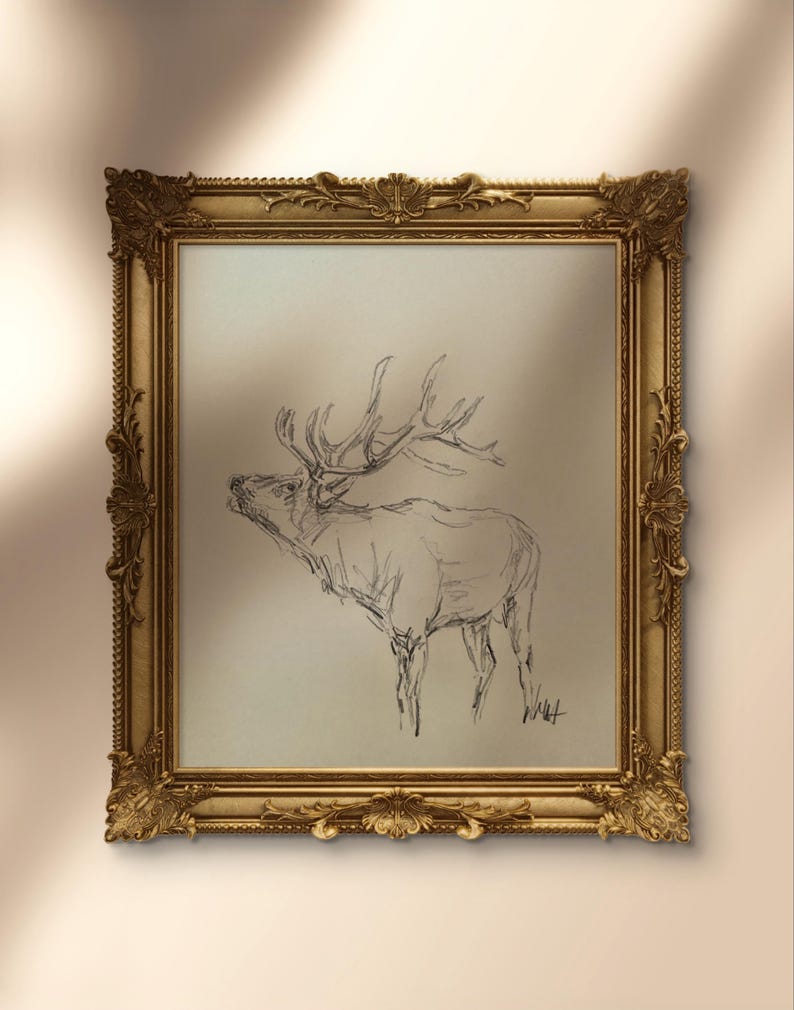 May include: A framed black and white pencil sketch of an elk with large antlers. The elk is facing to the left and is drawn in a realistic style. The frame is gold and ornate.