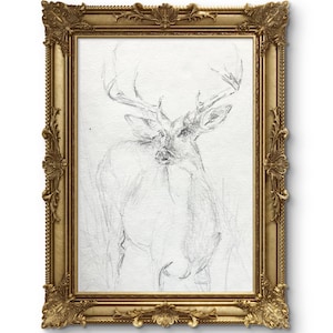 Original DEER Digital Print