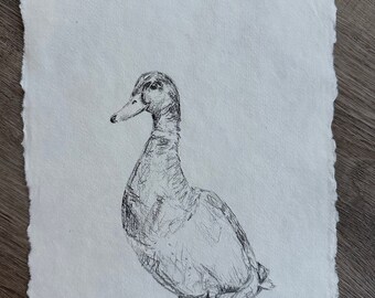 Original Mallard Pencil Drawing, Fine Art, 8x11, Vintage, Minimalist, Wildlife Art