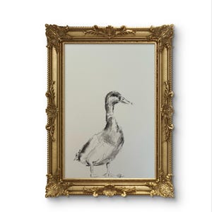Original MALLARD DUCK Digital Print