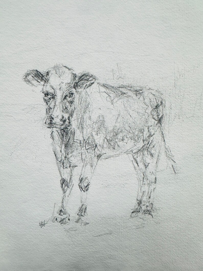 Original Cow Pencil Drawing, Fine Art, Cow Print, Minimalist Wall Art ...