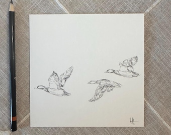 Original MALLARD DUCK Drawing, Fine Art, Vintage, Wildlife Art, 6x6