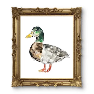 Original MALLARD DUCK Digital Print