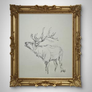 May include: A black and white pencil drawing of a large male elk with antlers, framed in a gold ornate frame.
