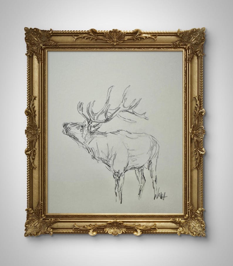 May include: A black and white pencil drawing of a large male elk with antlers, framed in a gold ornate frame.