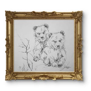 Bear art, Naptime Yet, pencil drawing of the black bear and