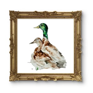 Original MALLARD DUCK Digital Print