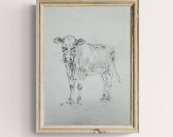 Original Cow Pencil Drawing, Fine Art, 8x11