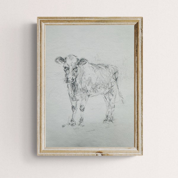 Original Cow Pencil Drawing, Fine Art, 8x11