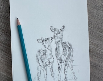 Original Drawing of Two Deer, Pencil on Paper, Fine Art