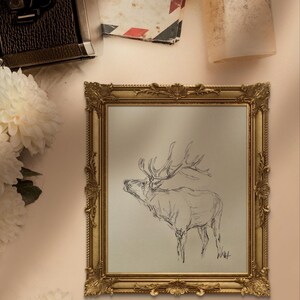 May include: A black and white pencil drawing of an elk with large antlers, framed in a gold ornate frame. The drawing is on a white background.