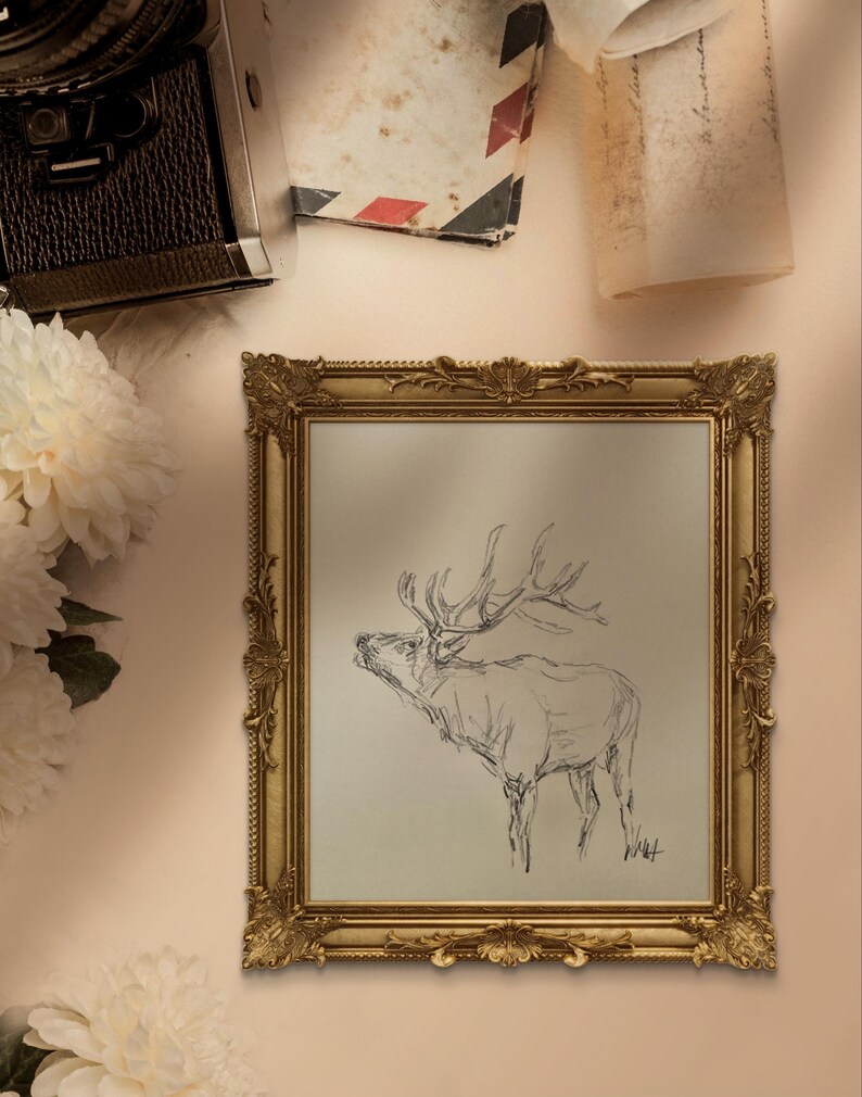 May include: A black and white pencil drawing of an elk with large antlers, framed in a gold ornate frame. The drawing is on a white background.