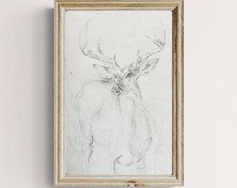 Original Deer Pencil Drawing, Fine Art, 8x11