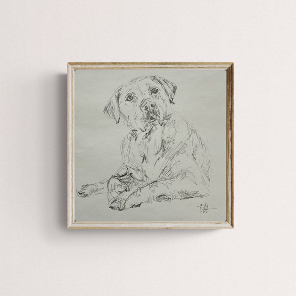 Original Pencil Drawing of Dog, Vintage Art, Minimalist Art, Dog Print, Digital Print, Fine Art