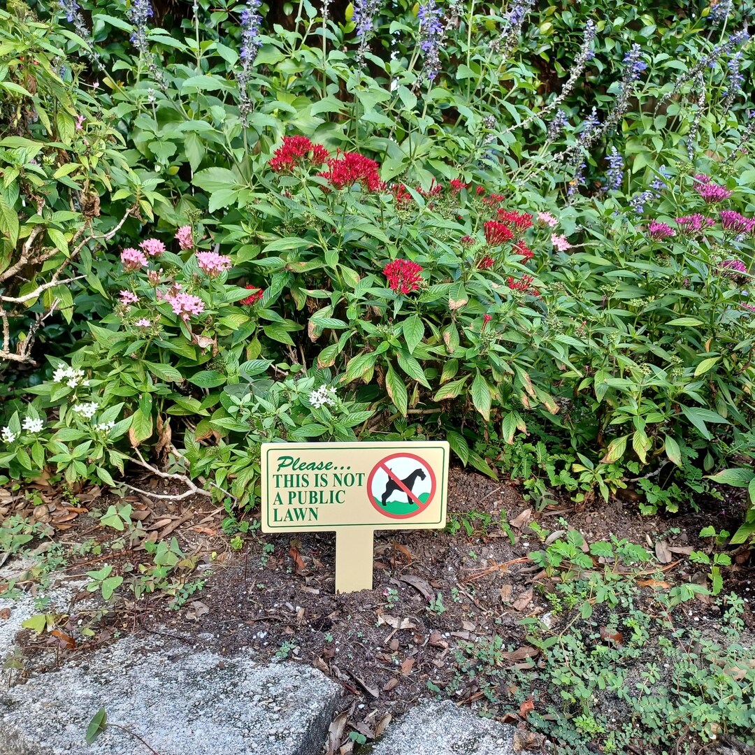 Curb Your Dog Sign: No Pooping - 8x9 Inch Waterproof PVC - Etsy