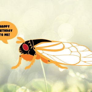Brood X Cicada Enamel Pin Set