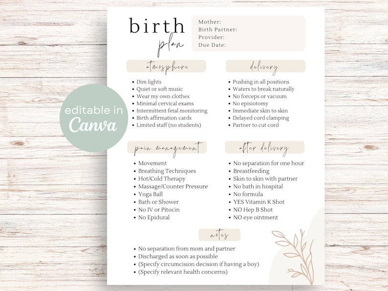 May include: A printable birth plan checklist with sections for atmosphere, pain management, delivery, after delivery, and notes. The checklist includes items such as dim lights, movement, pushing in all positions, breastfeeding, and no separation from mom and partner.