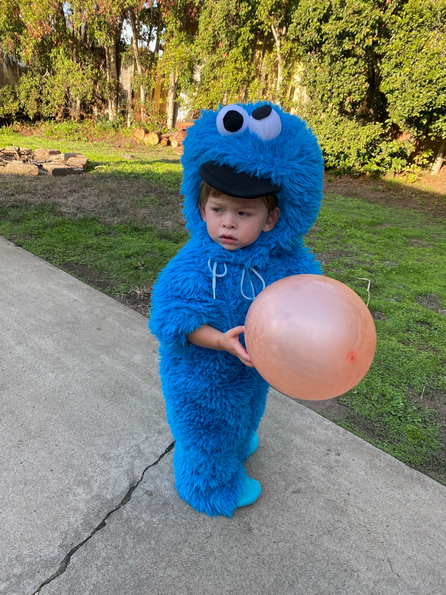 The Sesame Street Costumes - Etsy