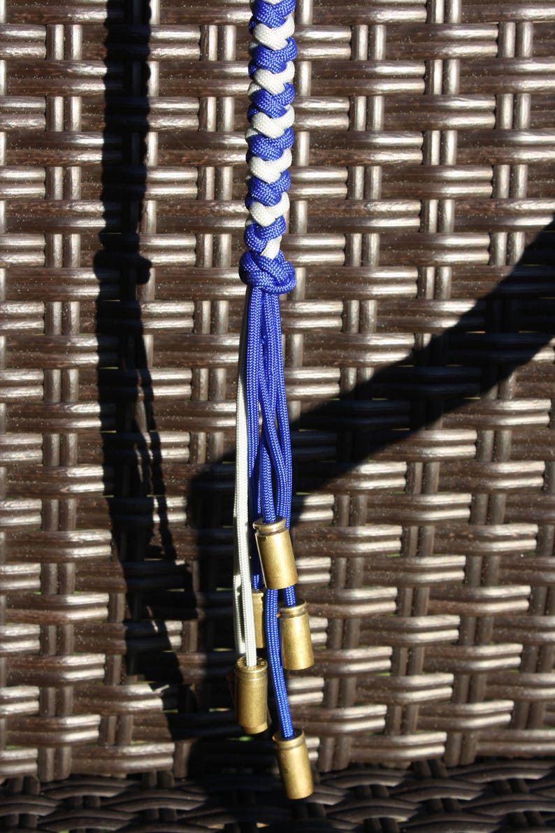 motorcycle stay back whip