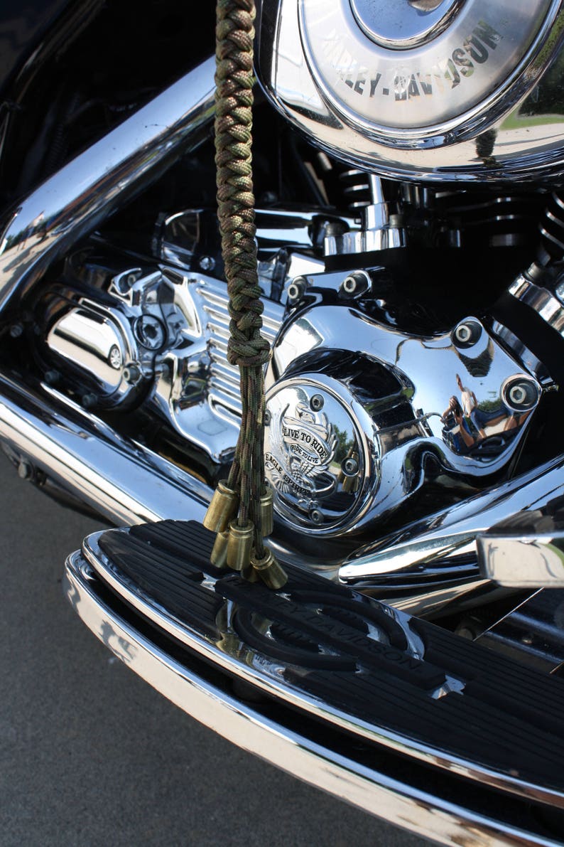 harley davidson get back whip