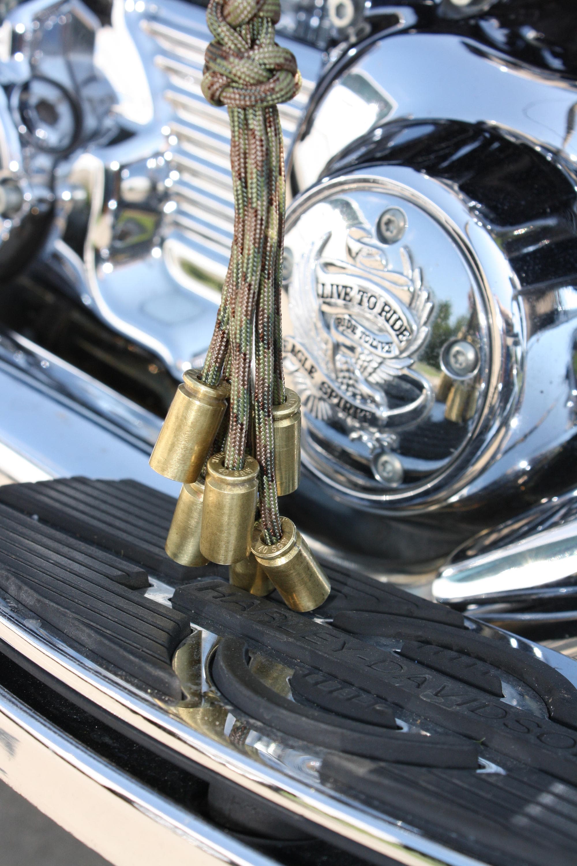 harley davidson get back whip