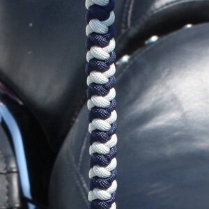 motorcycle stay back whip