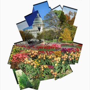 162 Two Years of Flowers at the US Capitol image 1