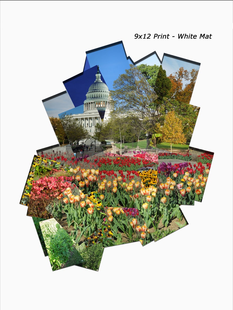 162 Two Years of Flowers at the US Capitol image 1