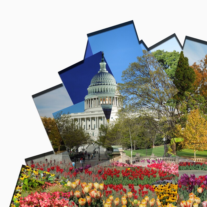 162 Two Years of Flowers at the US Capitol image 2