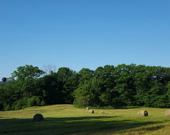 Paso elevado campo de heno