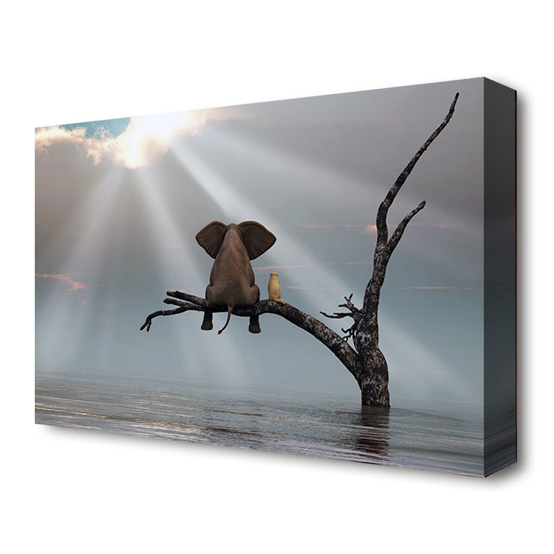 Elephant canvas women's classics sale